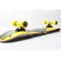 Скейтборд  дерево  Fish  Skateboard  Raven  до 100 кг  (19056)